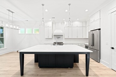 Brand-new home in Dataw Island Resort offering 4 bedrooms and 4 - photo 7
