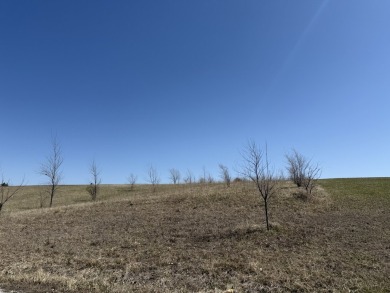 Lake Lot For Sale in Ellston, Iowa