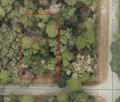 Lake Ocklawaha Lot For Sale in Fort Mccoy Florida