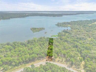 Lake Lot For Sale in Larue, Texas