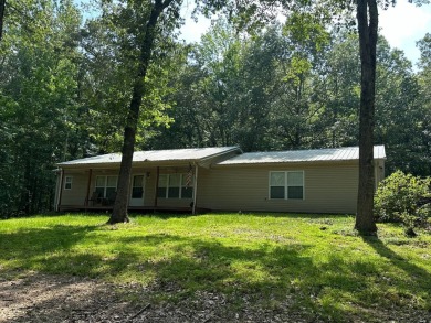 Lake Home For Sale in Buchanan, Tennessee
