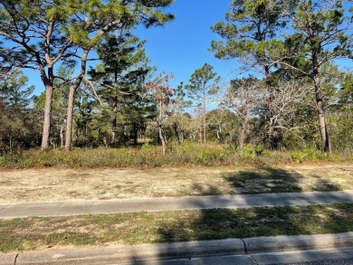 Lake Lot For Sale in Carabelle, Florida