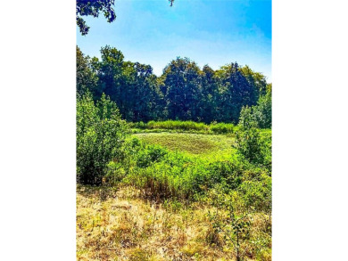 Lake Commercial For Sale in Russellville, Arkansas