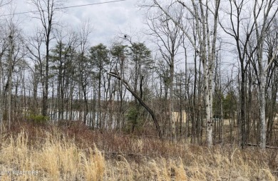 Lake Lot For Sale in Crossville, Tennessee