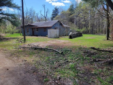 4 parcels making up .76 acres near Scott Lake Bloomingdale - photo 3