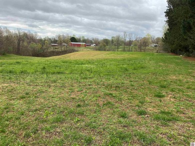 (private lake, pond, creek) Acreage For Sale in Wickliffe Kentucky