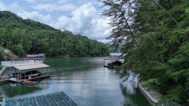 Lake Lot For Sale in Blue Ridge, Georgia