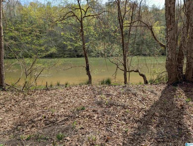 Beautiful DEEDED waterfront property on Mulberry Fork/Black - photo 2