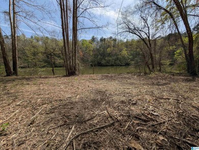 Beautiful DEEDED waterfront property on Mulberry Fork/Black - photo 3
