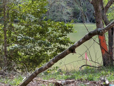 Beautiful DEEDED waterfront property on Mulberry Fork/Black - photo 4