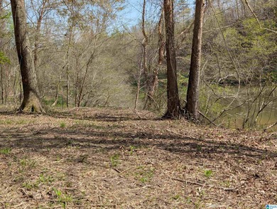 Beautiful DEEDED waterfront property on Mulberry Fork/Black - photo 5