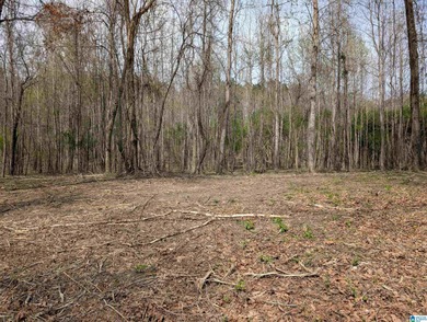 Beautiful DEEDED waterfront property on Mulberry Fork/Black - photo 7