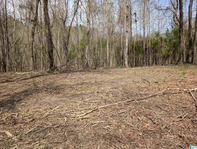 Beautiful DEEDED waterfront property on Mulberry Fork/Black - photo 8
