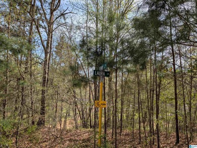 Beautiful DEEDED waterfront property on Mulberry Fork/Black - photo 9