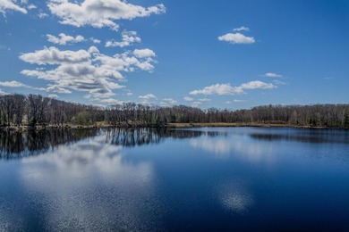 5.17 AC lot situated on a scenic 134 AC crystal clear BROKEN BOW - photo 2