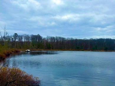 5.17 AC lot situated on a scenic 134 AC crystal clear BROKEN BOW - photo 7