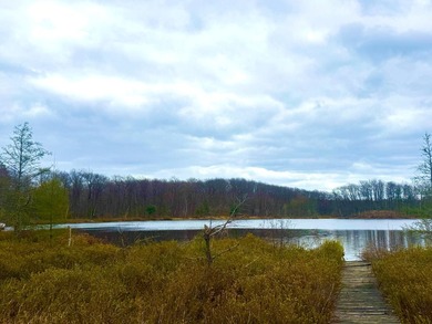 5.17 AC lot situated on a scenic 134 AC crystal clear BROKEN BOW - photo 9