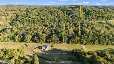 Over 9 acres of unrestricted land-your blank canvas awaits! This - Lake Acreage For Sale in Rockwood, Tennessee