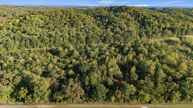 Over 9 acres of unrestricted land-your blank canvas awaits! This - photo 3