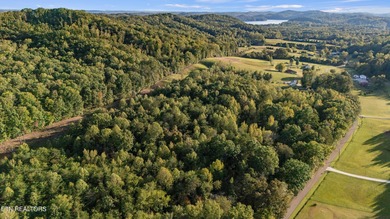 Over 9 acres of unrestricted land-your blank canvas awaits! This - photo 4