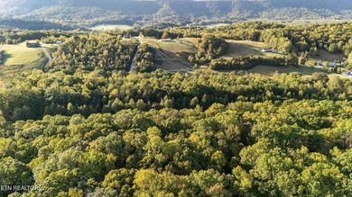 Over 9 acres of unrestricted land-your blank canvas awaits! This - photo 5
