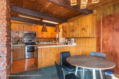Unparalleled Aspen redevelopment opportunity. Discover a rare - photo 12