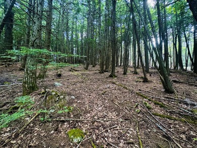 Located in a quiet lake community, this serene 1.02 acre parcel - photo 14