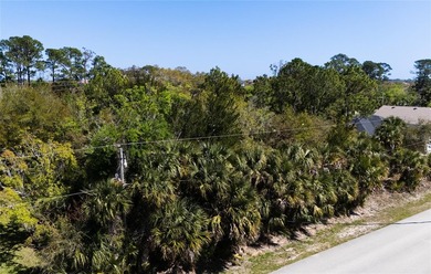 Prime duplex-zoned property in one of Palm Coast's most - photo 2