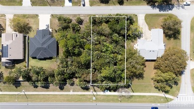Prime duplex-zoned property in one of Palm Coast's most - photo 9