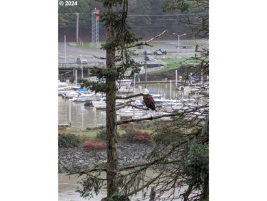 Perched above the beautiful Chetco River with sweeping river - photo 41
