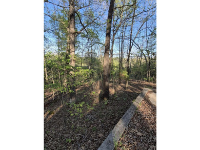 SAVE TIME & MONEY on Your Dream Lake House! Skip the months of - photo 6