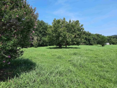 Lake Lot For Sale in Mountain View, Arkansas