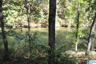 Lake Lot For Sale in Vincent, Alabama