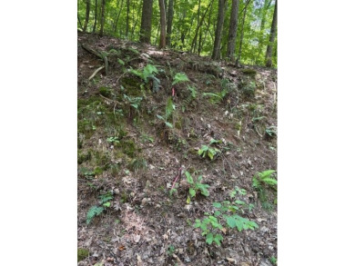 Lake Dakwa Lot For Sale in Ellijay Georgia