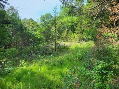 Lake Commercial For Sale in Eureka Springs, Arkansas