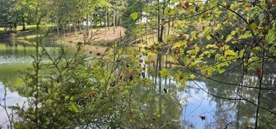 Beautiful 2.81 acre building lot in Phase 5 of Stone Creek - photo 11