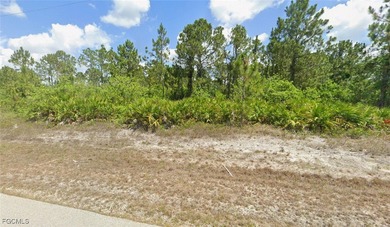 Lehigh Acres Area Lot Sale Pending in Lehigh Acres Florida