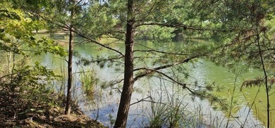 Beautiful 2.81 acre building lot in Phase 5 of Stone Creek - photo 12