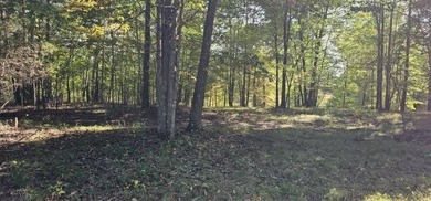 Beautiful 2.81 acre building lot in Phase 5 of Stone Creek - photo 13