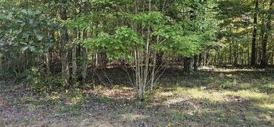 Beautiful 2.81 acre building lot in Phase 5 of Stone Creek - photo 15