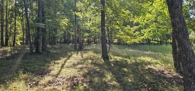 Beautiful 2.81 acre building lot in Phase 5 of Stone Creek - photo 16