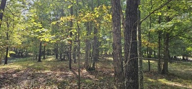 Beautiful 2.81 acre building lot in Phase 5 of Stone Creek - photo 17