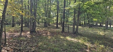 Beautiful 2.81 acre building lot in Phase 5 of Stone Creek - photo 18