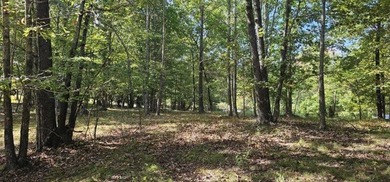 Beautiful 2.81 acre building lot in Phase 5 of Stone Creek - photo 19