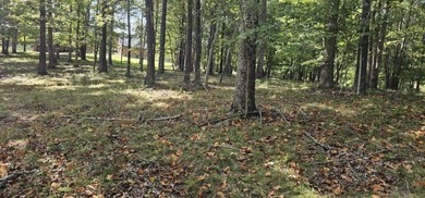 Beautiful 2.81 acre building lot in Phase 5 of Stone Creek - photo 20