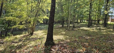 Beautiful 2.81 acre building lot in Phase 5 of Stone Creek - photo 21