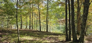 Beautiful 2.81 acre building lot in Phase 5 of Stone Creek - photo 23