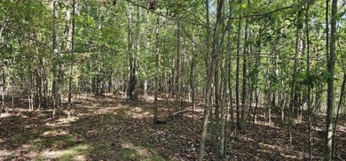 Beautiful 2.81 acre building lot in Phase 5 of Stone Creek - photo 24