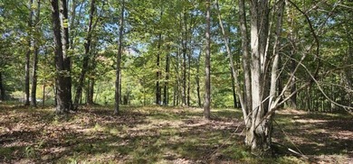 Beautiful 2.81 acre building lot in Phase 5 of Stone Creek - photo 25