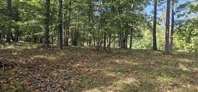 Beautiful 2.81 acre building lot in Phase 5 of Stone Creek - photo 26